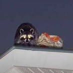 VinteXPlayz's Avatar