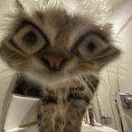 Poseph1826's Avatar'