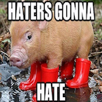 EGG.Porker's Avatar'