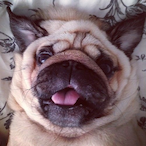 Martin-nitraM's Avatar'