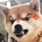 SmokedPotato's Avatar'