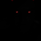 HunterMpsn's Avatar'