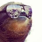 Squeezy7's Avatar'
