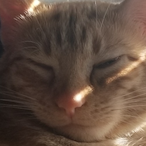 ChromaUWU's Avatar'