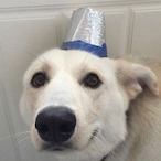 LawD_TaChonkeR's Avatar'