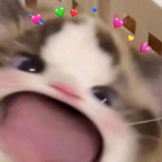 krotyu's Avatar'