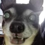 Litman53's Avatar'
