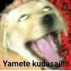 dnd Matrixs's Avatar'