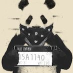 BadPanda510's Avatar'