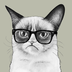 Manzanitasmol's Avatar'