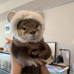 Jweenie_'s Avatar'