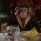 TrytheeBananas's Avatar'