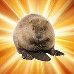 ImmortalBeaver's Avatar