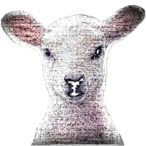 Sheepis.'s Avatar'