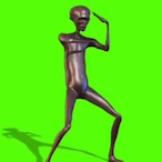 WidePlumber's Avatar'