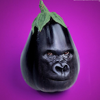 Zekrhak's Avatar'