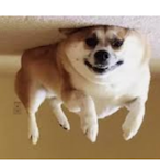 jaythe3rd25's Avatar'