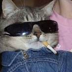 Tanjii3981's Avatar'
