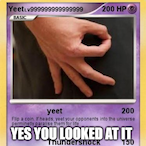 YeeetForSpeed's Avatar'