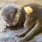 ItsmeeAnLeine's Avatar'