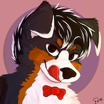 VladyzWild's Avatar'