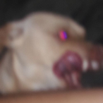 NeonZebraStrike's Avatar'
