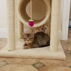 TheLawnMeower's Avatar'