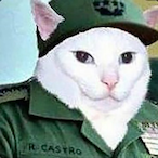 Fidel_Catto's Avatar'