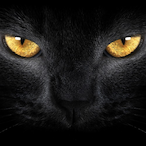 l-krxsyy-l's Avatar'