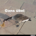 GarstigeGans's Avatar'