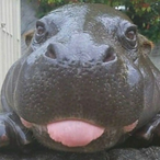 jormagova's Avatar'