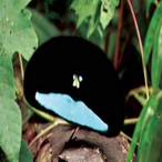 Aquarium_'s Avatar'