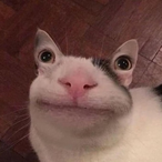JediCowboy83's Avatar'