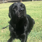 Marsh.-.-.'s Avatar'