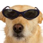 Not.Cool.Man's Avatar'