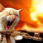 KittenwithanAK's Avatar'