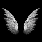 Exifiz's Avatar'