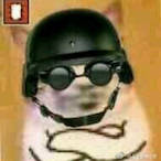 TheFastChicken's Avatar'