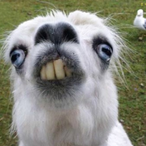 KamilxHueHue's Avatar'