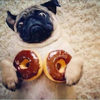 Grandma_Corndog's Avatar'
