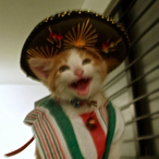 LouWithTheGlue's Avatar'