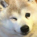 Zingzhang's Avatar'