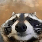 TrashPanda.22's Avatar'
