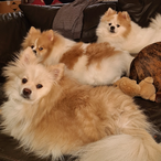 solidsnake_ags's Avatar