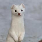 CerebralWeasel's Avatar'