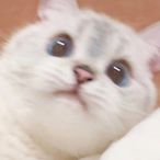 evil slim67's Avatar'