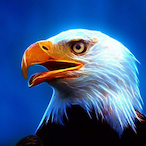 WFL_Miguel's Avatar'