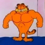 Garfield_fan's Avatar'