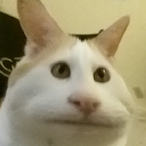 Hungry4Toes's Avatar'
