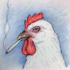 Rooster.CA's Avatar'